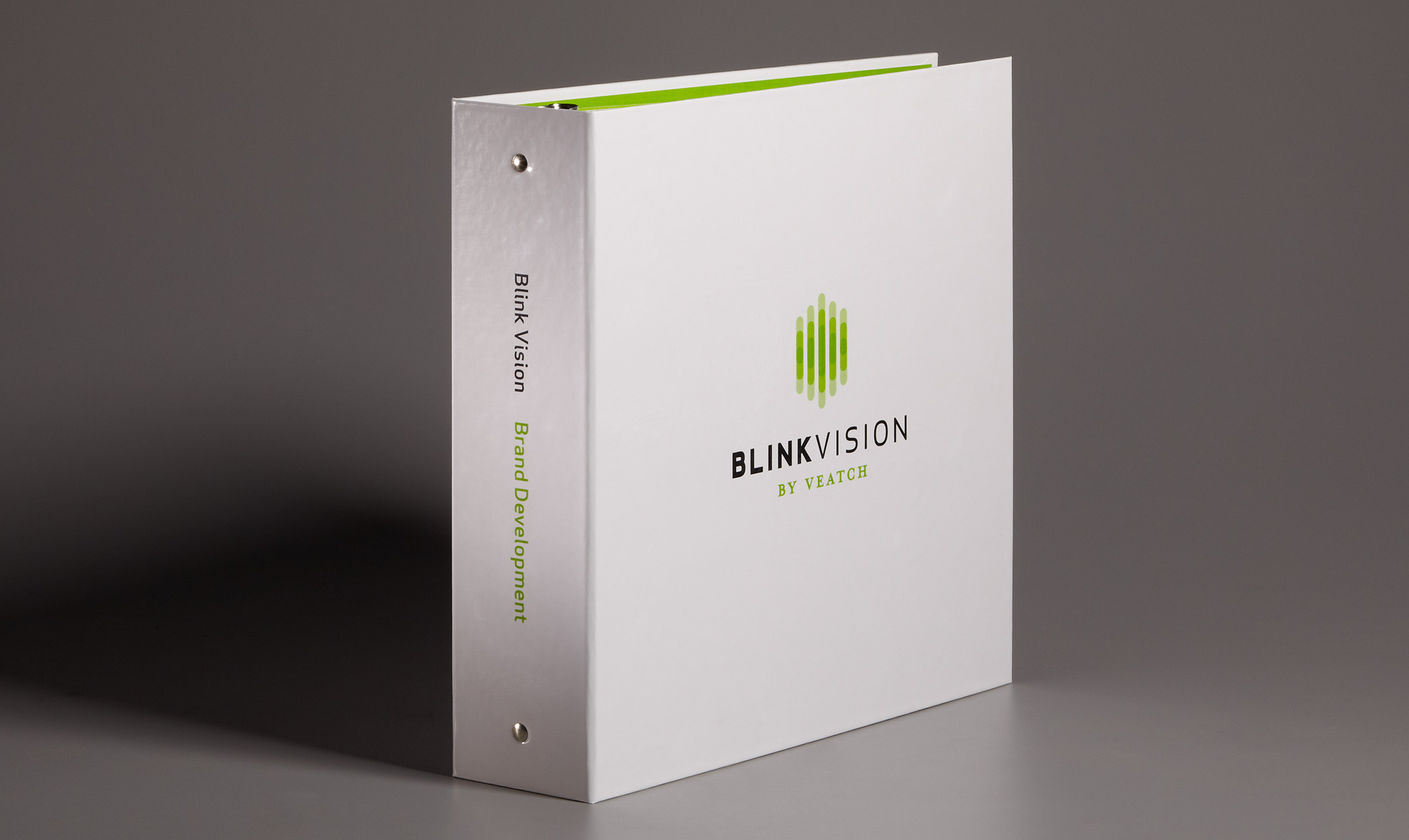 Blink Vision Binder