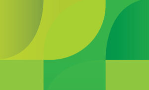 Illustrative detail from brand expression created for Blink Vision, a comprehensive eye health and vision clinic located in North Liberty, Iowa.