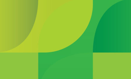 Illustrative detail from brand expression created for Blink Vision, a comprehensive eye health and vision clinic located in North Liberty, Iowa.