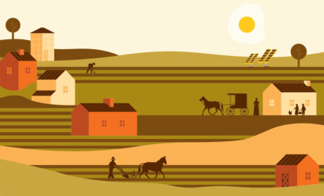 Illustration designed for Farmers Hen House, an egg production, packaging and distribution company located in Kalona, Iowa. Farmers Hen House Illustration