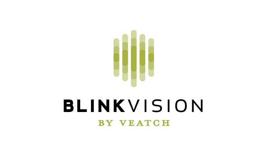 Blink Vision logo before