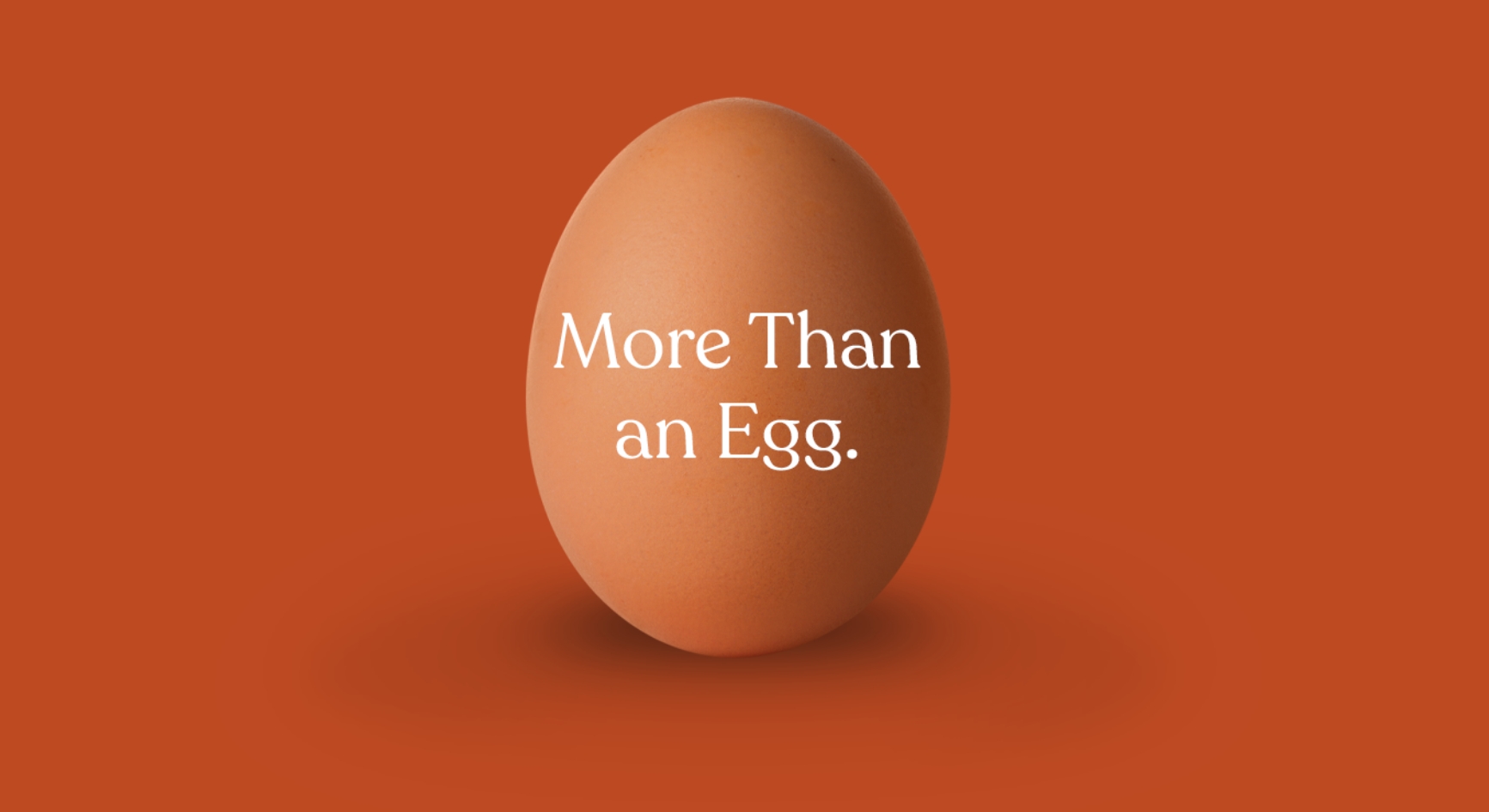 Farmers Hen House "More Than an Egg" tagline