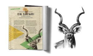 Multi award-winning illustration designed for John Deere Forestry's "The Landing" magazine, John Deere being a forestry equipment manufacturer headquartered in Moline, Illinois. John Deere Forestry "The Landing" illustration